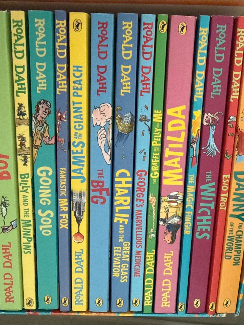 Roald Dahl Paperback Book Set - Bright Multicolor Spines